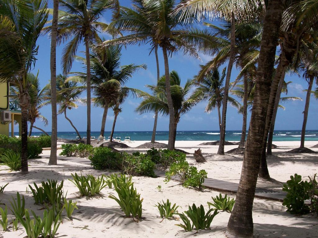 Hibiscus Beach Resort Christiansted Buitenkant foto
